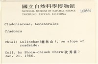 登錄號:L00000564藏品圖，第2張