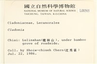 登錄號:L00000565藏品圖，第2張