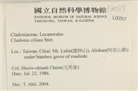 登錄號:L00000567藏品圖，第2張