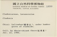 登錄號:L00000569藏品圖，第2張