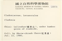 登錄號:L00000570藏品圖，第2張
