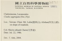 登錄號:L00000571藏品圖，第2張
