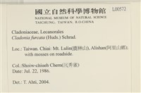 登錄號:L00000572藏品圖，第2張