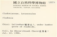 登錄號:L00000574藏品圖，第2張