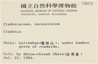 登錄號:L00000575藏品圖，第2張