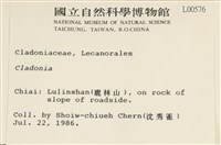 登錄號:L00000576藏品圖，第2張