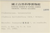 登錄號:L00000590藏品圖，第2張