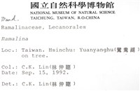 登錄號:L00000597藏品圖，第2張