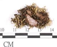 登錄號:L00000597藏品圖，第3張