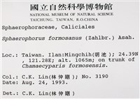 台灣球粉衣藏品圖，第2張