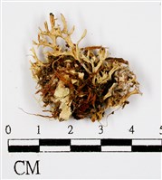 登錄號:L00000674藏品圖，第3張