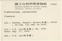 登錄號:L00000686藏品圖，第2張
