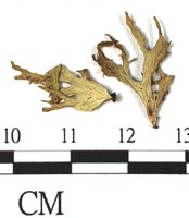 登錄號:L00000757藏品圖，第3張