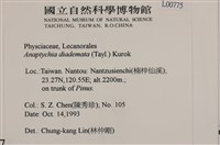 登錄號:L00000775藏品圖，第2張