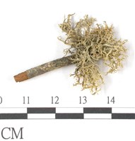 登錄號:L00000797藏品圖，第1張