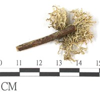 登錄號:L00000797藏品圖，第3張