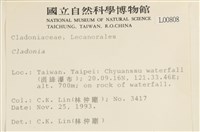 登錄號:L00000808藏品圖，第2張
