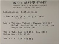 網脊兜衣藏品圖，第2張