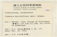 登錄號:L00000917藏品圖，第2張