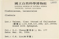 登錄號:L00000920藏品圖，第2張