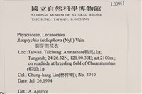 裂芽雪花衣藏品圖，第2張