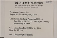 登錄號:L00000956藏品圖，第2張