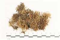 登錄號:L00000962藏品圖，第1張