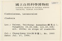 登錄號:L00000977藏品圖，第2張