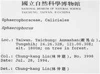 登錄號:L00000991藏品圖，第2張