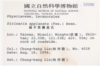 扁平黑囊基衣藏品圖，第2張