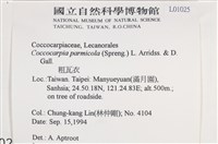 粗瓦衣藏品圖，第2張