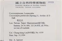 粗瓦衣藏品圖，第2張