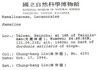 登錄號:L00001050藏品圖，第2張