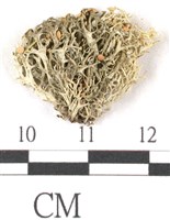 登錄號:L00001073藏品圖，第3張