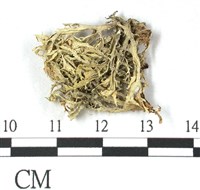 登錄號:L00001077藏品圖，第3張