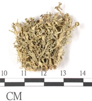 登錄號:L00001079藏品圖，第3張