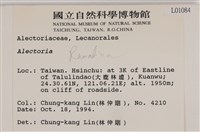 登錄號:L00001084藏品圖，第2張