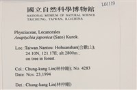 日本雪花衣藏品圖，第2張
