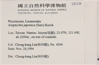 日本雪花衣藏品圖，第2張