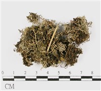 登錄號:L00001166藏品圖，第3張