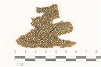 登錄號:L00001168藏品圖，第1張