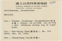 登錄號:L00001262藏品圖，第2張
