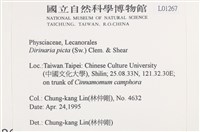 有色黑囊基衣藏品圖，第2張
