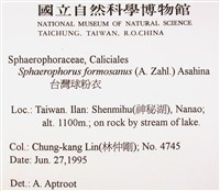 台灣球粉衣藏品圖，第2張