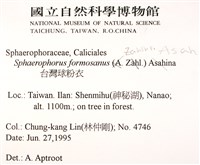 台灣球粉衣藏品圖，第2張