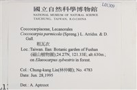 粗瓦衣藏品圖，第2張