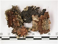 登錄號:L00001328藏品圖，第3張