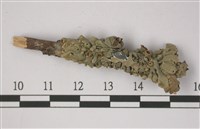 登錄號:L00001338藏品圖，第1張