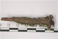 登錄號:L00001338藏品圖，第3張