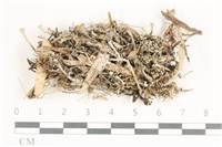 登錄號:L00001354藏品圖，第1張